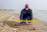 Fishing Locos - Mark Cano