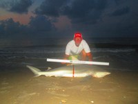 Keep It Reel - Ron Richmond