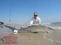 Team Rockstar - Brad Tabor