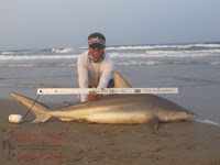 Team Rockstar - Brad Tabor