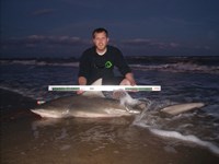 CatchSharks - Matt Hyde