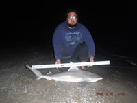 Team Southern Sharkers - Eduardo Mejia