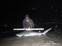 Team Southern Sharkers - David Tidwell