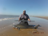 Team Southern Sharkers - Eduardo Mejia