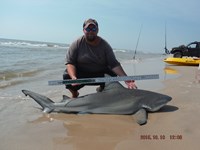 Team Southern Sharkers - Donnie Tidwell