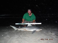 Team Southern Sharkers - Donnie Tidwell