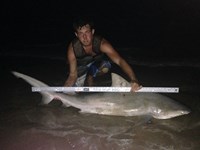 Sharkaholics - Zach Crain