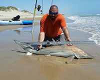 Southern Shark  Outcasts  - Jesse Garza