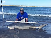 Down South Hook Setters - juan cisneros