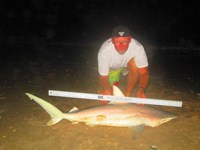 Keep It Reel - Ron Richmond