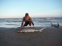 Team Southern Sharkers - David Tidwell