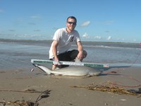 CatchSharks - Matt Hyde