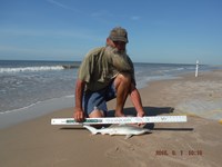 Team Southern Sharkers - David Tidwell