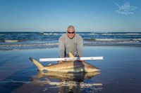 Fishing Locos - Mark Cano