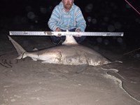 Reel Billies - Nathan Sadosky