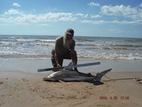 Team Southern Sharkers - David Tidwell