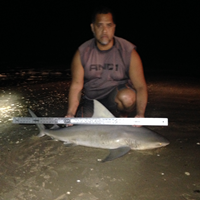 Bolivar Bums - Johnny Makuaole