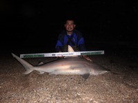 Keep It Reel - Joe  Garcia