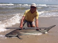 Sharkaholics - David Crain