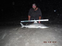 Team Southern Sharkers - Donnie Tidwell