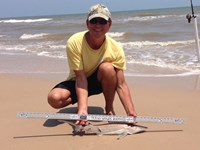 Sharkaholics - David Crain