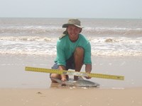 Sharkaholics - Zach Crain