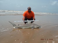 Team Southern Sharkers - Donnie Tidwell