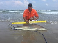 El Pescador - Tomas Barriga