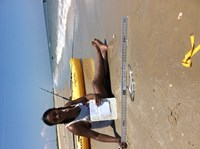 Sharknado - Annie  Green