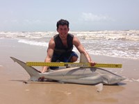 Sharkaholics - Zach Crain