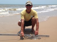 Sharkaholics - David Crain