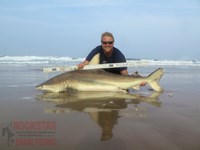 Team Rockstar - Eric Ozolins