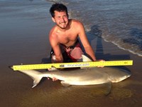 Sharkaholics - Zach Crain