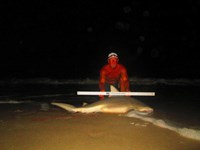 Keep It Reel - Ron Richmond