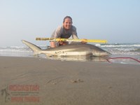 Team Rockstar - Dani Zirkel