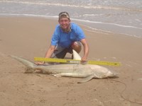 Sharkaholics - Zach Crain