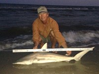 Sharkaholics - David Crain