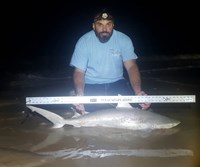 Southern Shark  Outcasts  - Jesse Garza