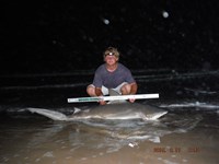 Team Southern Sharkers - Nick Johnson