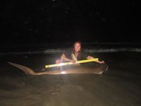 Team Rockstar - Dani Zirkel