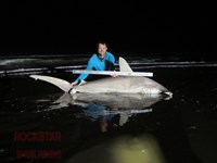 Team Rockstar - Brad Tabor