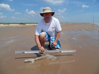 Just Bitten Shark Fishing Team - Chris  Solomon