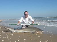 CatchSharks - Steven Kennedy