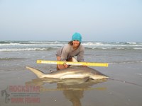 Team Rockstar - Dani Zirkel