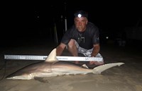 Southern Shark  Outcasts  - John Franklin