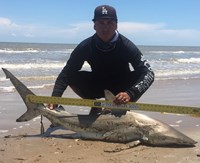 Controlled Chaos - Rey Contreras