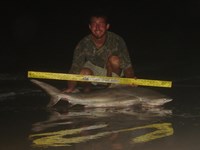 Sharkaholics - Zach Crain