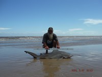 Team Southern Sharkers - David Tidwell