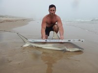 Keep It Reel - Kelley  O'Brien