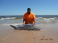 Team Southern Sharkers - Eduardo Mejia